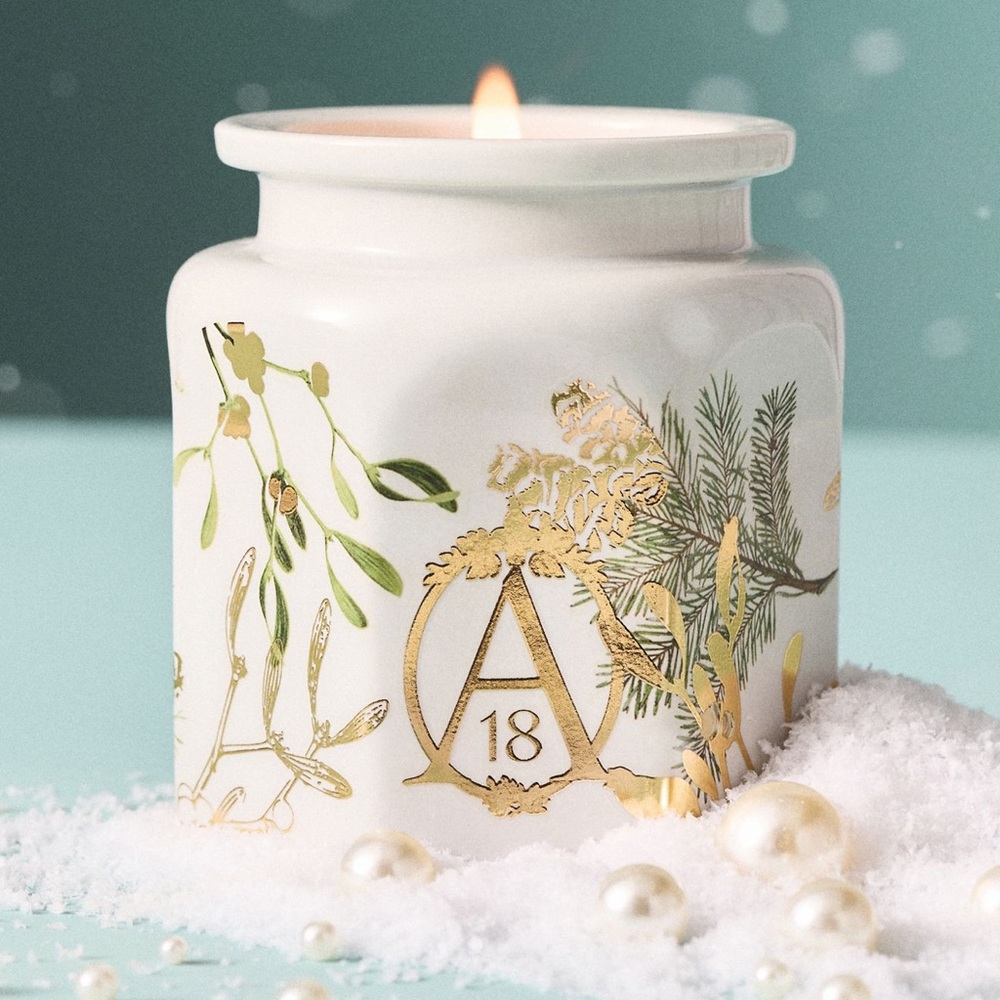 NEW NWT Anthropologie apothecary 18 ceramic misteltoe and moss candle